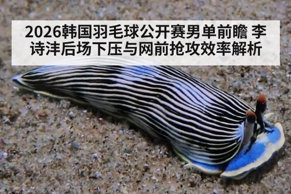 2026韩国羽毛球公开赛男单前瞻 李诗沣后场下压与网前抢攻效率解析