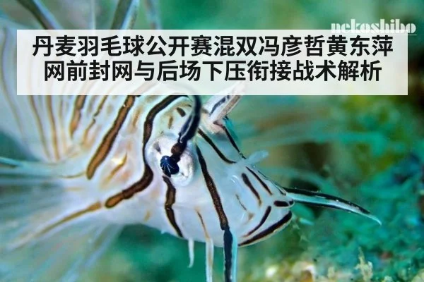 丹麦羽毛球公开赛混双冯彦哲黄东萍网前封网与后场下压衔接战术解析